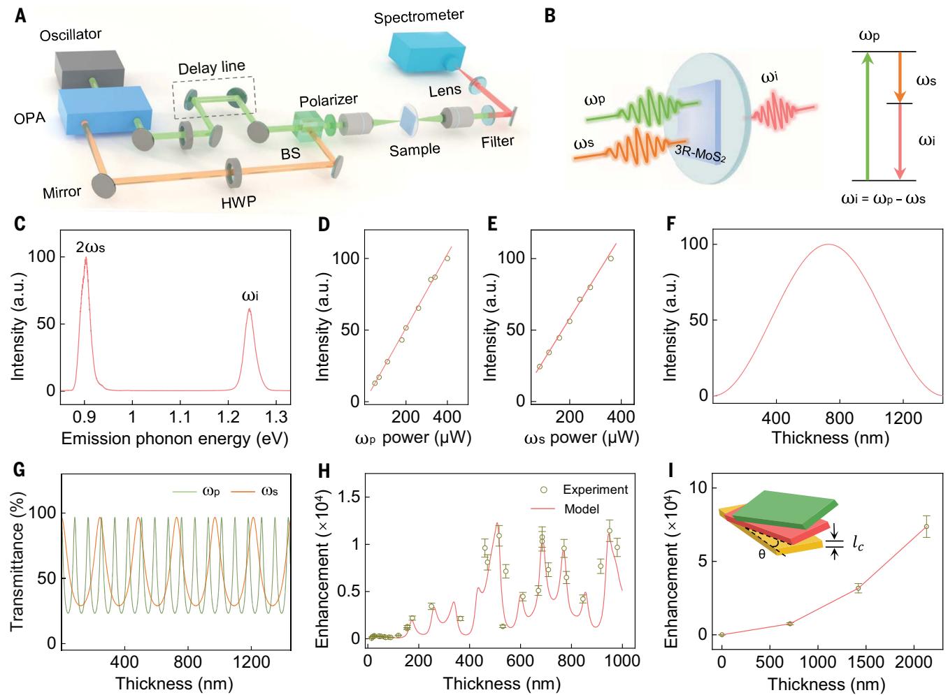 DFG measurements of 3R-MoS2 single crystals