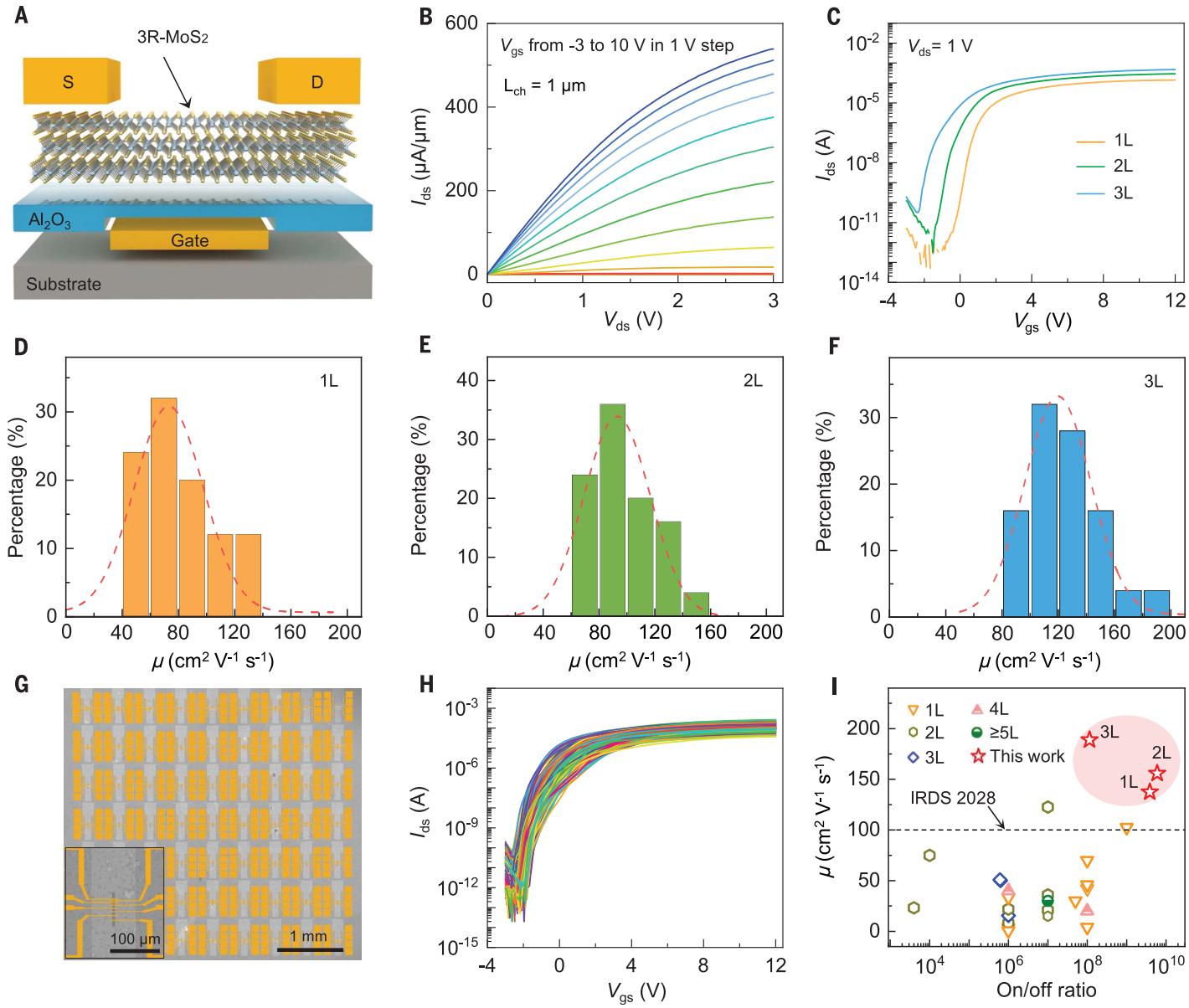 backgated trilayer 3R-MoS2 FET arrays