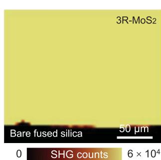 SHG mapping of 3R-MoS2 on fused silica