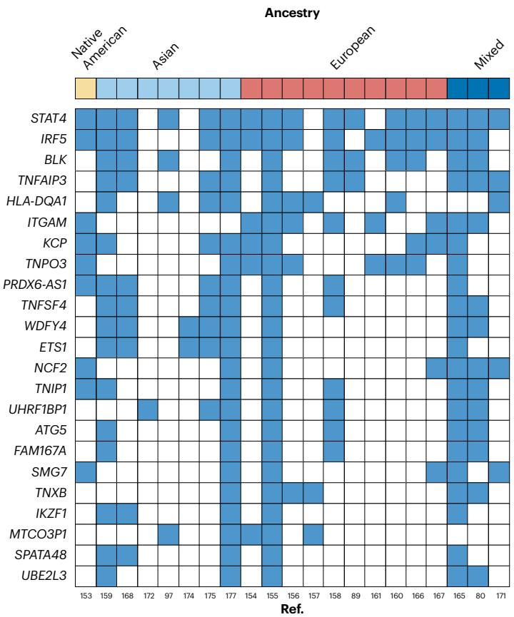 图1：SLE GWAS 在不同人群中定位到的常见风险基因热图